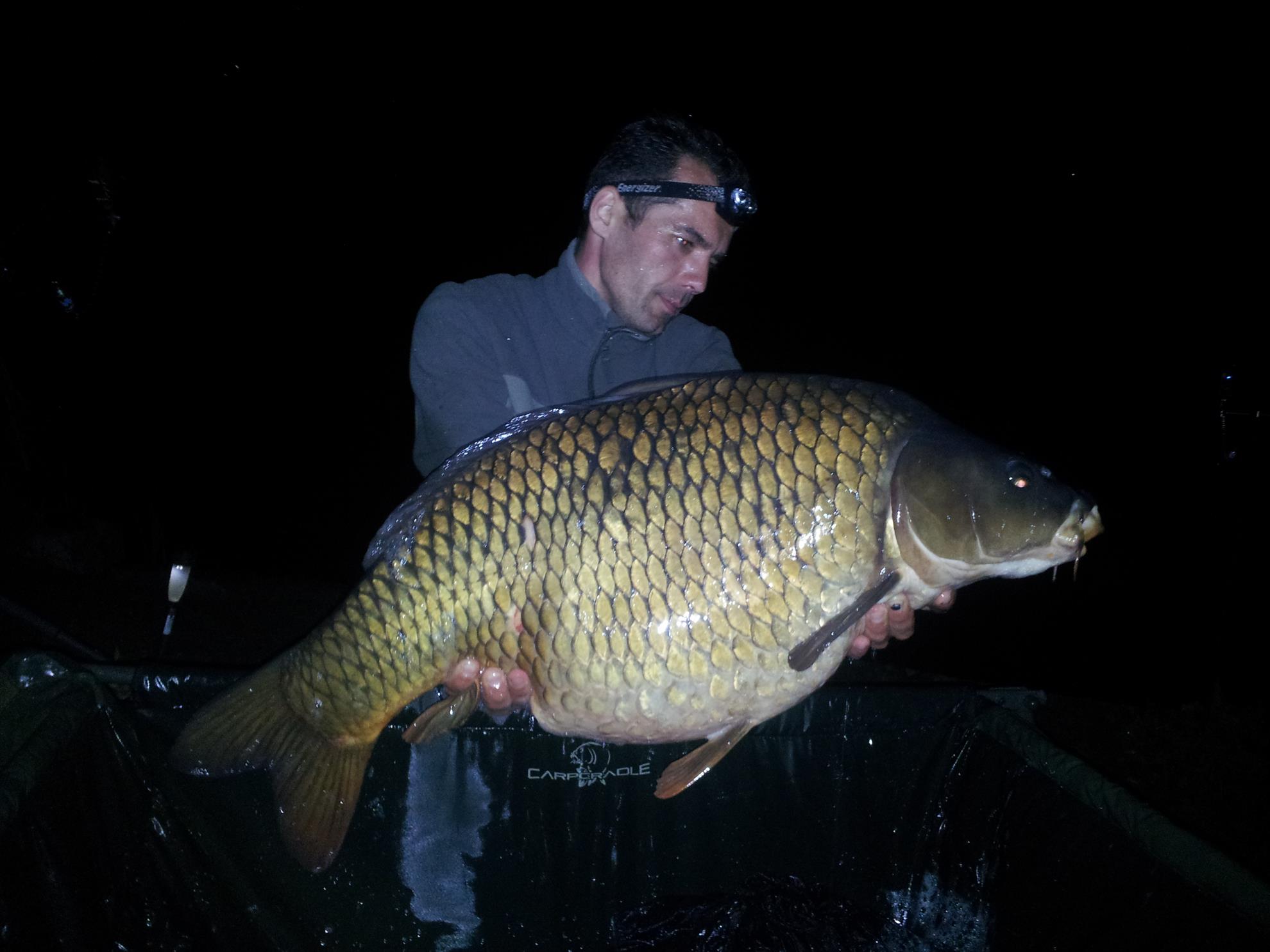 Tancabesti 1 - 4 iunie 2014 - 20140603234153.jpg